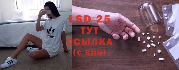 прущие грибы Волоколамск
