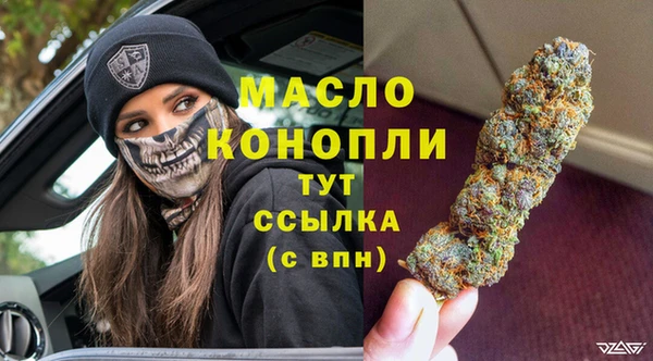 прущие грибы Волоколамск