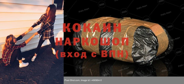 прущие грибы Волоколамск