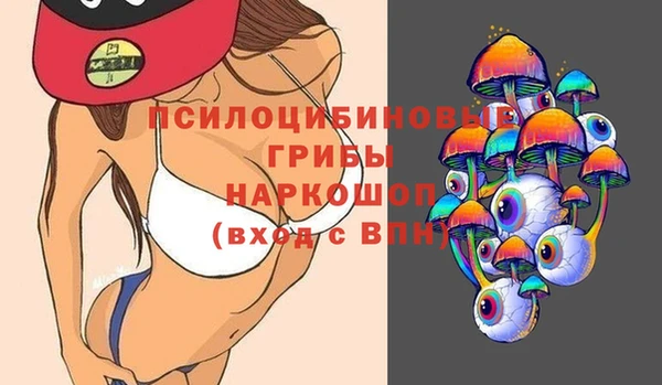 прущие грибы Волоколамск