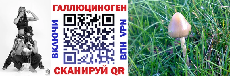Галлюциногенные грибы мицелий  Купить закладки  Новомичуринск 